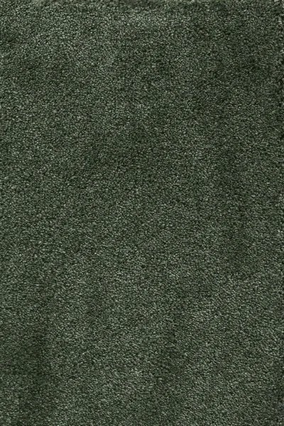 Ковровое покрытие AW Fedone 24 - (5м) в Оренбурге