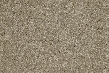 Ковровое покрытие AW Gala 33 - (4м) в Оренбурге