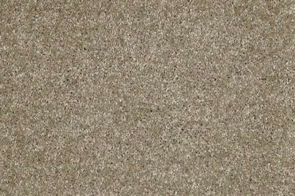 Ковровое покрытие AW Gala 33 - (4м) в Оренбурге