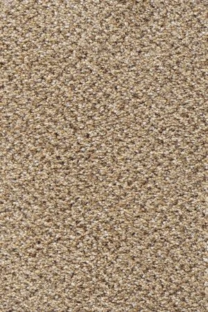 Ковровое покрытие AW Stainaway Tweed 50 - (4м) в Оренбурге