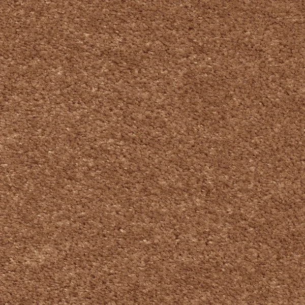 Ковровое покрытие AW Euphoria 84 - (5м) в Оренбурге