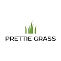 Искусственная трава Prettie Grass в Оренбурге