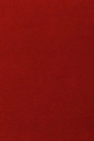 Ковровое покрытие AW Oinone 10 - (4м) в Оренбурге