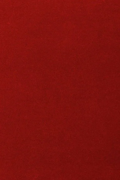 Ковровое покрытие AW Oinone 10 - (5м) в Оренбурге