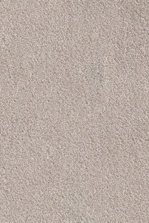 Ковровое покрытие AW Messalina 37 - (5м) в Оренбурге