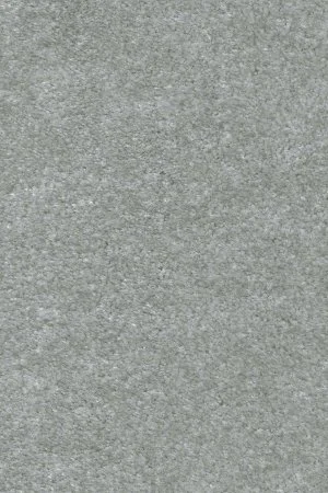 Ковровое покрытие AW Euphoria 75 - (5м) в Оренбурге