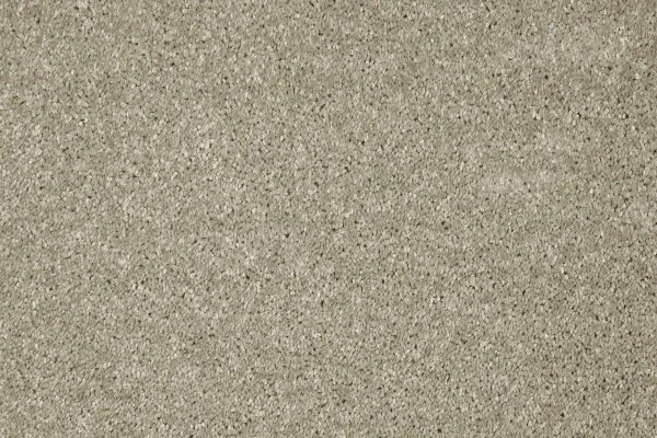 Ковровое покрытие AW Gala 03 - (4м) в Оренбурге