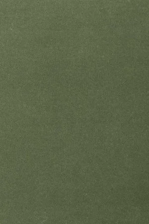 Ковровое покрытие AW Oinone 24 - (5м) в Оренбурге