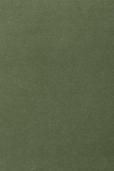 Ковровое покрытие AW Oinone 24 - (4м) в Оренбурге