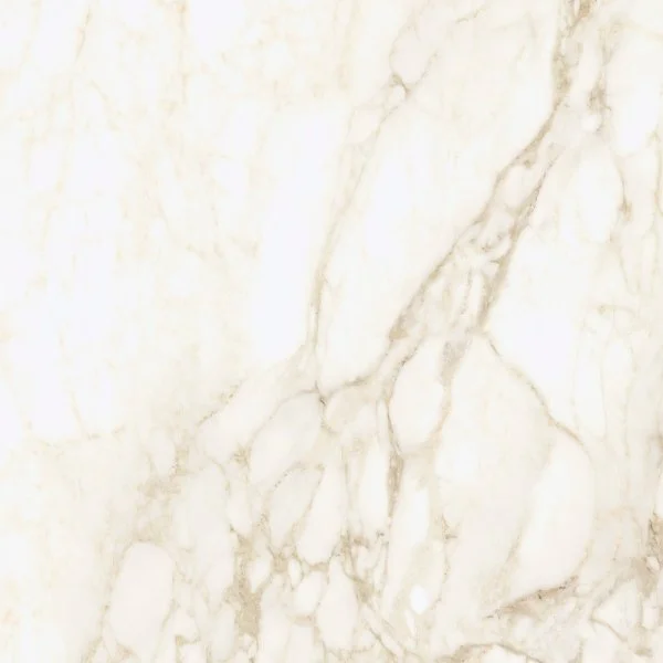 Керамогранит Coliseum Микеланджело Ворм 60х60 (Натуральный и Реттифицированный) в Оренбурге