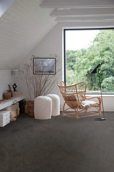 Ковровое покрытие AW Ganges 99 - (4м) в Оренбурге