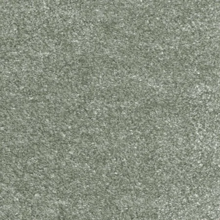 Ковровое покрытие AW Euphoria 28 - (5м) в Оренбурге