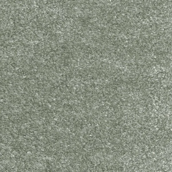 Ковровое покрытие AW Euphoria 28 - (5м) в Оренбурге