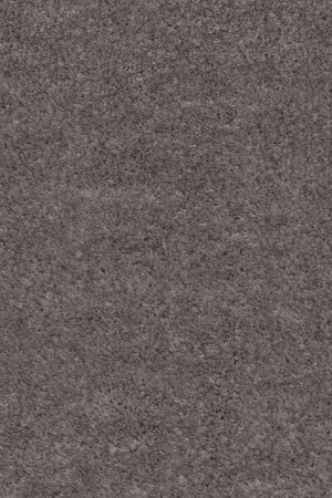 Ковровое покрытие AW Euphoria 45 - (4м) в Оренбурге