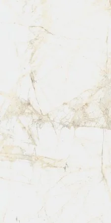 Керамогранит Coliseum Канова Уайт 60х120 (Натуральный и Реттифицированный) в Оренбурге