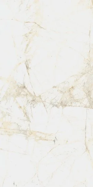 Керамогранит Coliseum Канова Уайт 60х120 (Натуральный и Реттифицированный) в Оренбурге