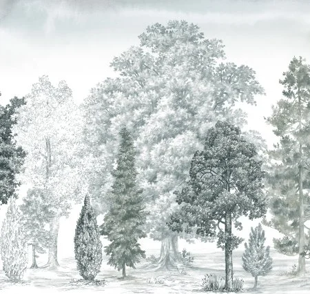 Обои Loymina Пейзаж vol. 2 ART14 011 в Оренбурге