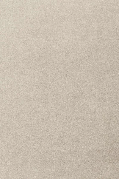 Ковровое покрытие AW Oinone 39 - (4м) в Оренбурге