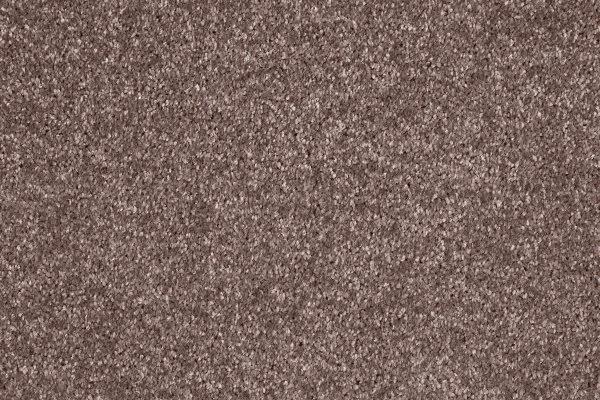 Ковровое покрытие AW Gala 60 - (5м) в Оренбурге